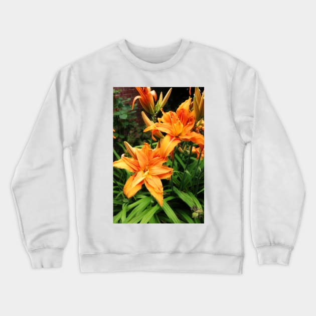 Orange daylily Crewneck Sweatshirt by pinkal